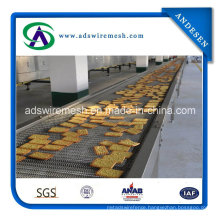 Conveyor Belt Chain Driven Belt (stainless steel)